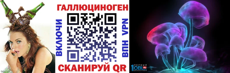Купить  Новосиль  Галлюциногенные грибы Psilocybe 