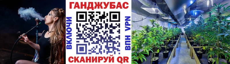Шишки марихуана план  Купить где  Новосиль 